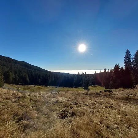 Ochsenwaldhuette Holiday home Teschrepl