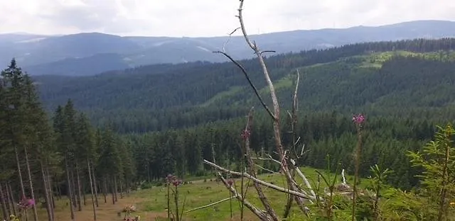 Ochsenwaldhuette 펜션