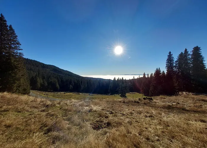 Ochsenwaldhuette 펜션 Teschrepl